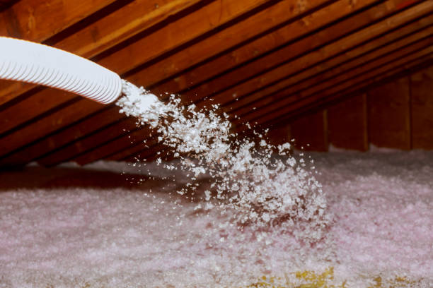 Best Insulation Installation Cost  in Edgewood, IN