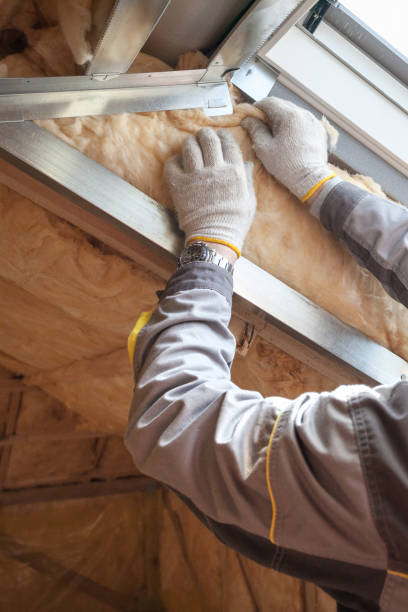 Best Insulation Inspection Services  in Edgewood, IN