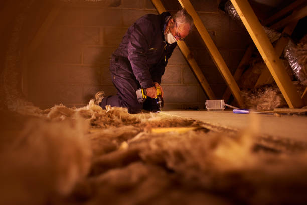 Best Insulation Contractor Near Me  in Edgewood, IN